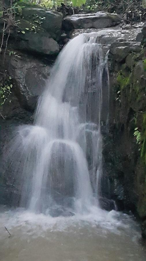 Cherilyn Monta Resort - Ratnagiri Vatul Екстериор снимка